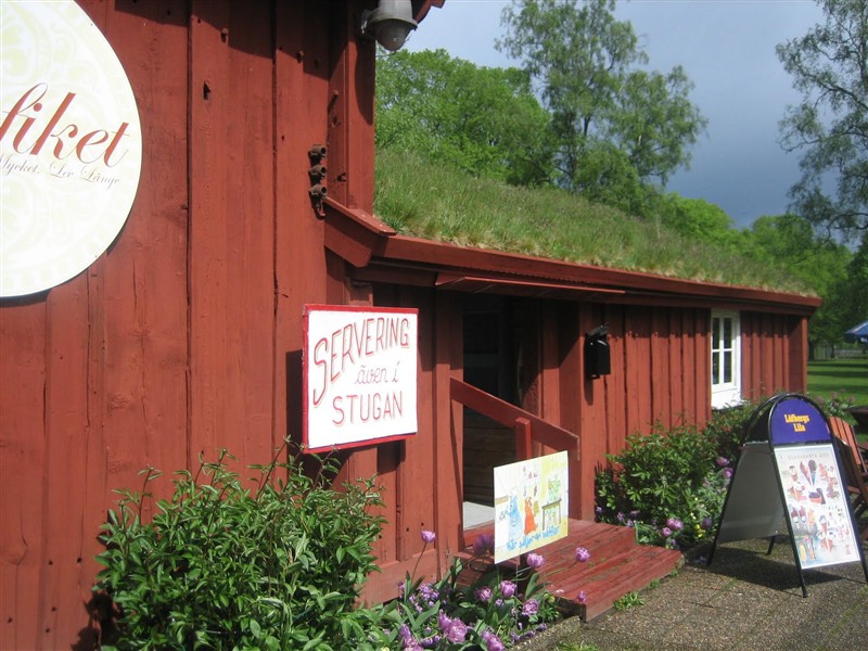 strandbjörket strandbjörket